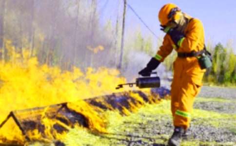 119�����հ�ȫ�̰�