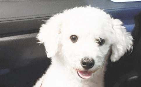 С��Сѧ���ģ��ȣ�