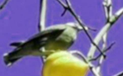 ����С�񡷽�ѧ��˼