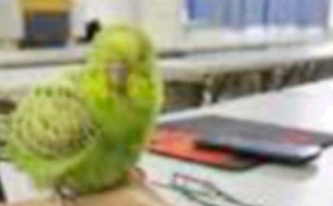 �̰������ֵ�С��