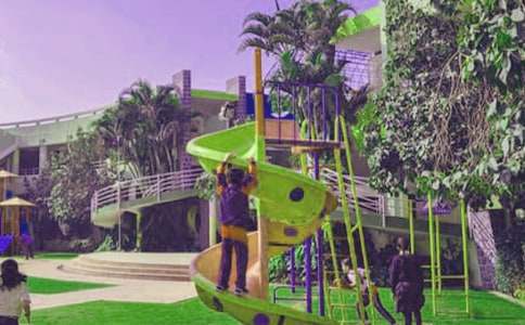 ����Сѧ������