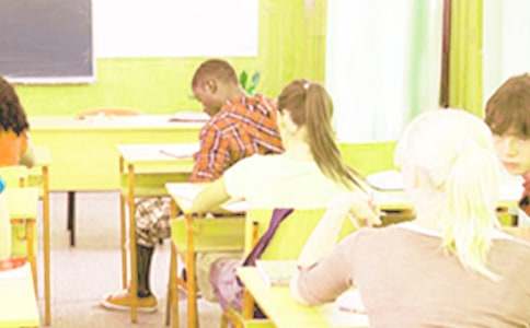 (����)������Ĺ���Сѧ������2ƪ