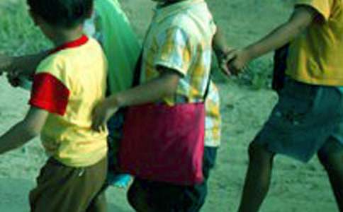 �����š�Сѧ���ܼ�ģ����5ƪ