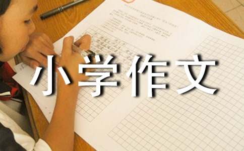 【精选】难忘小学作文400字三篇