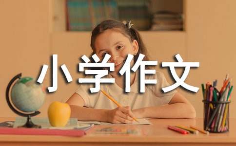 小学作文300字