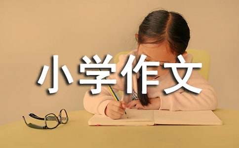 过年小学作文(15篇)