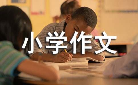 小学作文300字