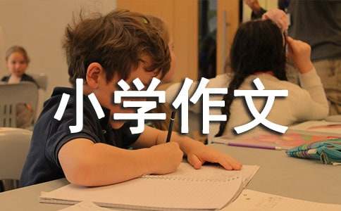 【热门】难忘的小学作文5篇