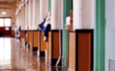 ѧУ�Ľ�����(15ƪ)