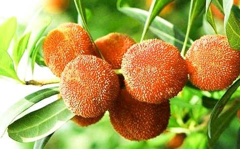 ����÷�������