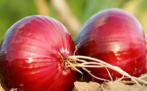 ���ͷ���ռǶ����[����]