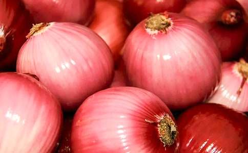 �����ͷ���ռǡ������(����15ƪ)