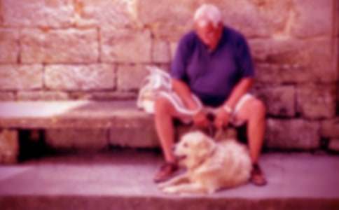 ���ٺ�үү�ۺ��(10ƪ)