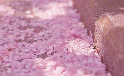 ����ӣ��������ܡ��и�15ƪ