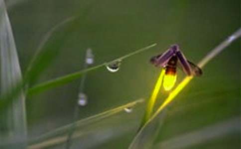 ө���֮Ĺ�ۺ�У�ͨ��17ƪ��