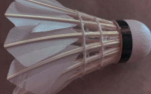 羽毛球比赛活动总结(必备)