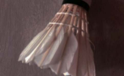 ����ë����ռǼ���7ƪ