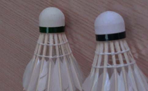 ��ë���߻��鳣��(15ƪ)