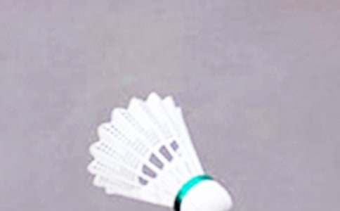 [ͨ��]��ë��̰�