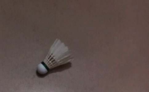 周末打羽毛球日记