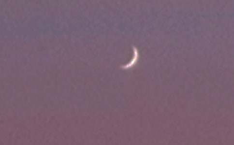 �����š�����������ʿ�����