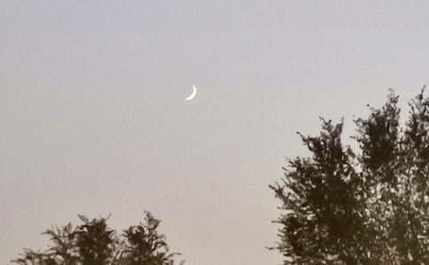 �����㣩����������ʿ�����