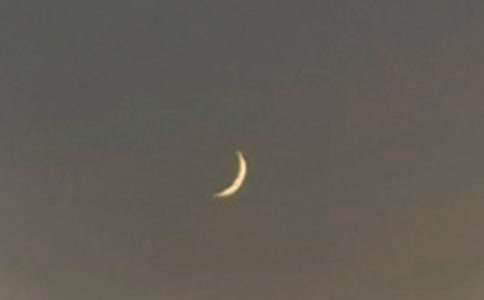 《鼹鼠的月亮河》读后感(15篇)