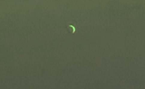 ������������ʿ�������(ͨ��15ƪ)