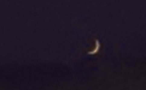 ����������ʿ�����