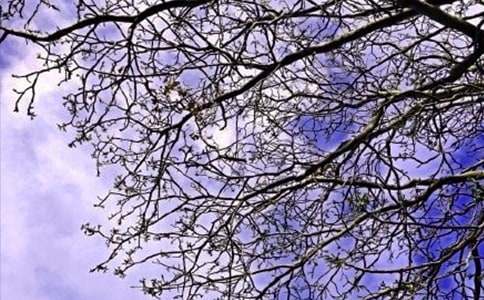 简单的治愈系早安朋友圈问候语40句