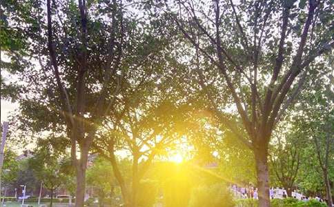 ����Ψ�����簲�ʺ������59��