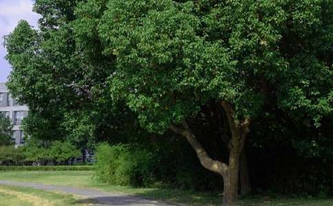 有关美好的早安问候语摘录61条