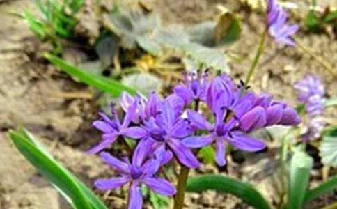 2026�곣�����õ��簲�ʺ���ժ¼45��