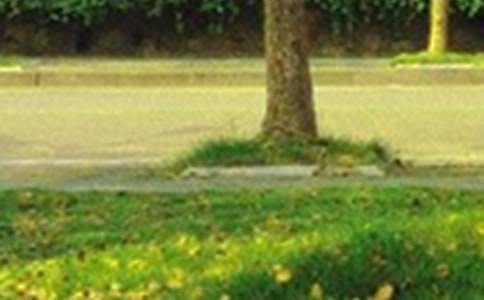 ��ʵ�á�2022���簲�ʺ�����¼23��