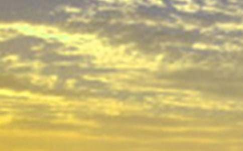 ���������簲ף������ܣ���ѡ175�䣩