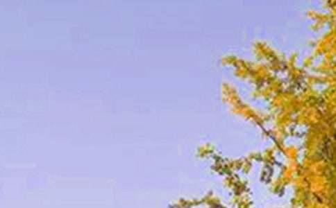 �����������õ��簲����Ȧף��������50��