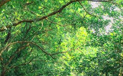 【必备】每日一签早安微信问候语大合集55句