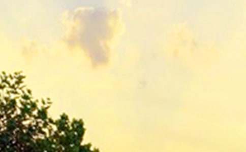 ��ʵ�á����õ��簲΢��ף���Ｏ��40��