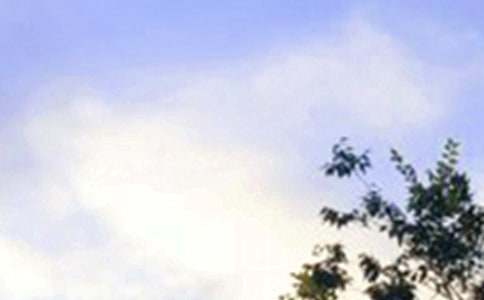 ��ʵ�á�2025���°��簲΢���ʺ���󼯺�60��