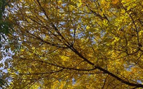 ��̵�ÿ��һǩ�簲�ʺ�����¼����52��