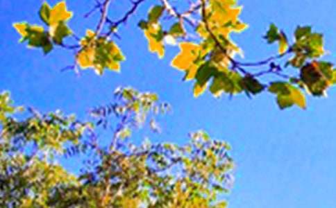 �����š�2026����ܰ���簲΢���ʺ���49��