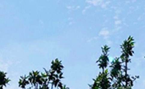 2026��ͨ������ϵ�簲����Ȧ�ʺ���32��