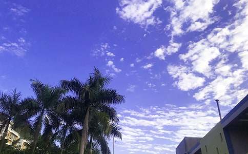 2025���簲�ʺ�����¼25��