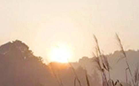 【热门】2024年适合早上发的早安朋友圈问候语大集合52句