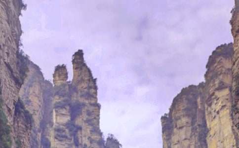 ʵ�õ��żҽ�Сѧ������ƪ