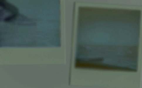 ��Ƭ��Ĺ���Сѧ����