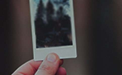 Сѧ���ģ���Ƭ��Ĺ���