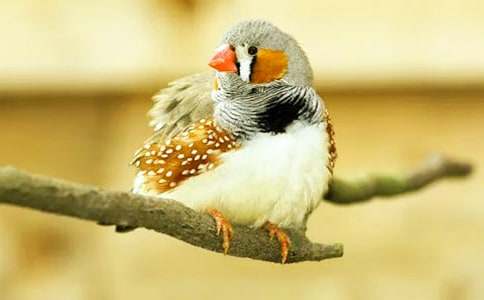 [�ر�]�������񡷽̰�