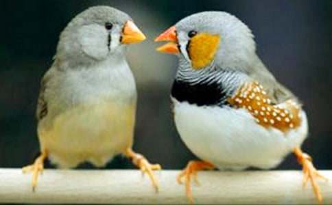 �������񡷶����(ͨ��15ƪ)