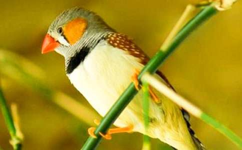 �������񡷵�����̰�